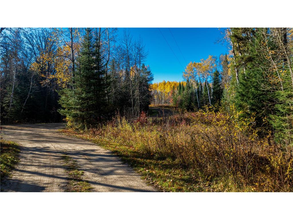 5 County Hway 49 Akeley MN 56433 6813742 image23