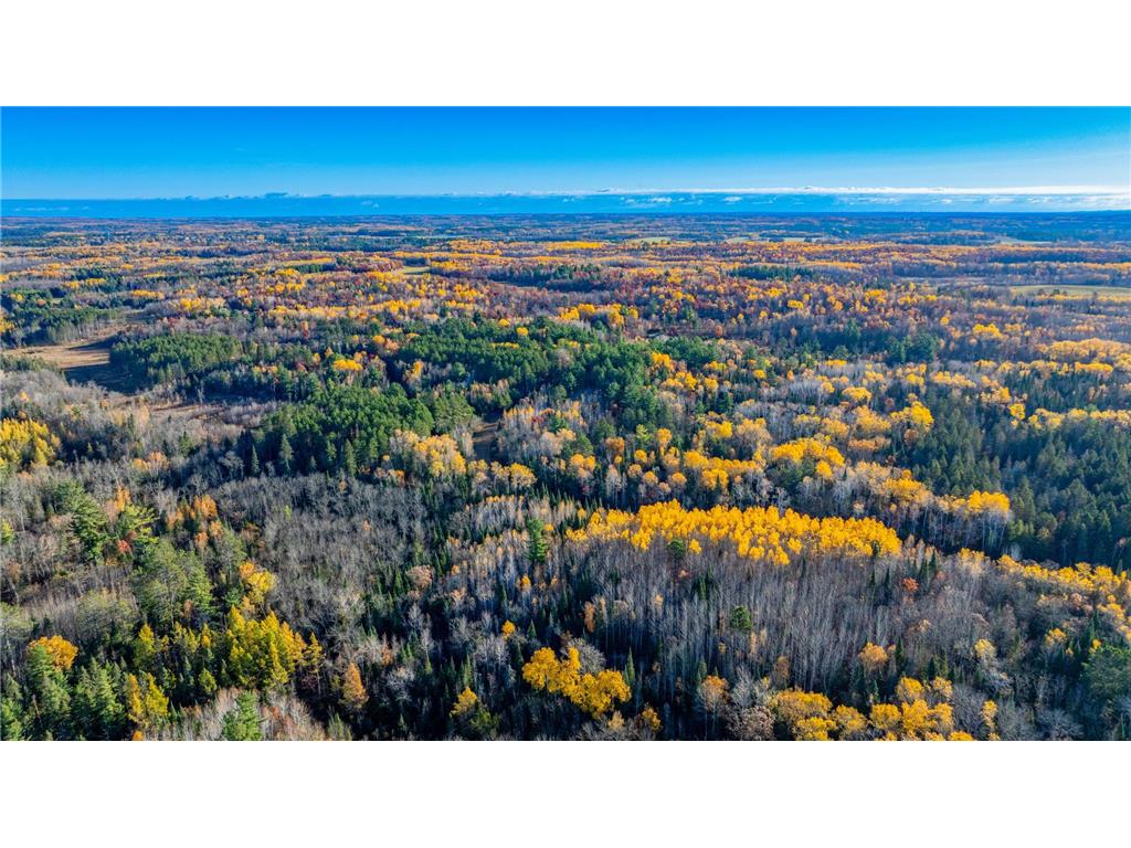 5 County Hway 49 Akeley MN 56433 6813742 image4