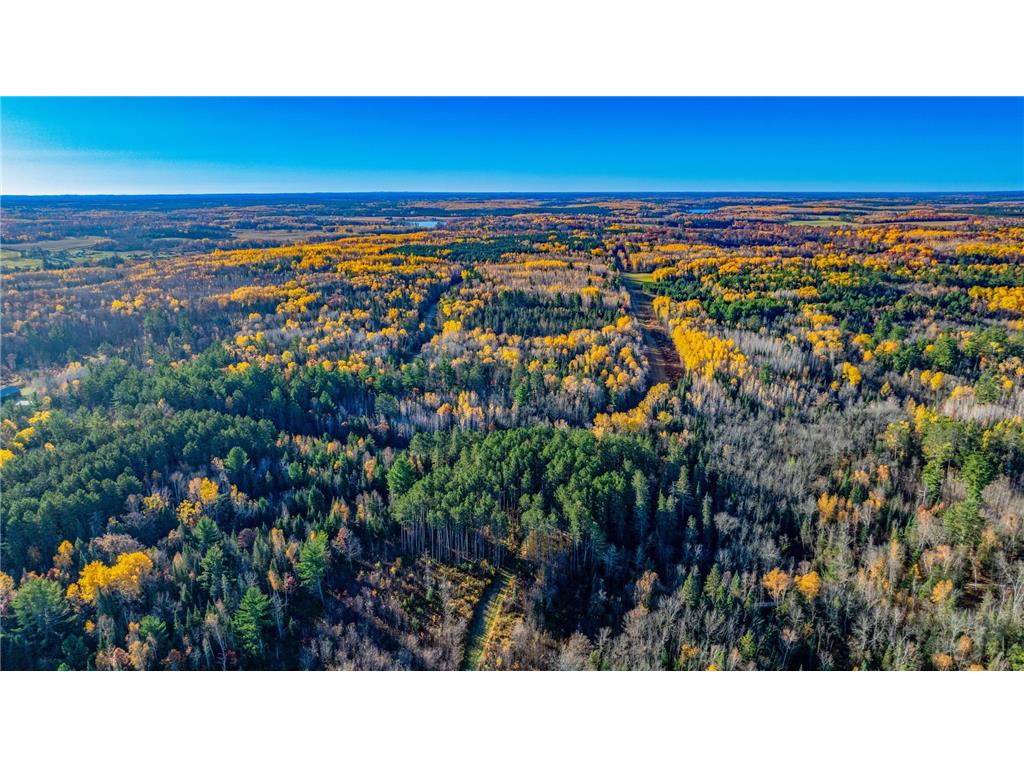 5 County Hway 49 Akeley MN 56433 6813742 image5