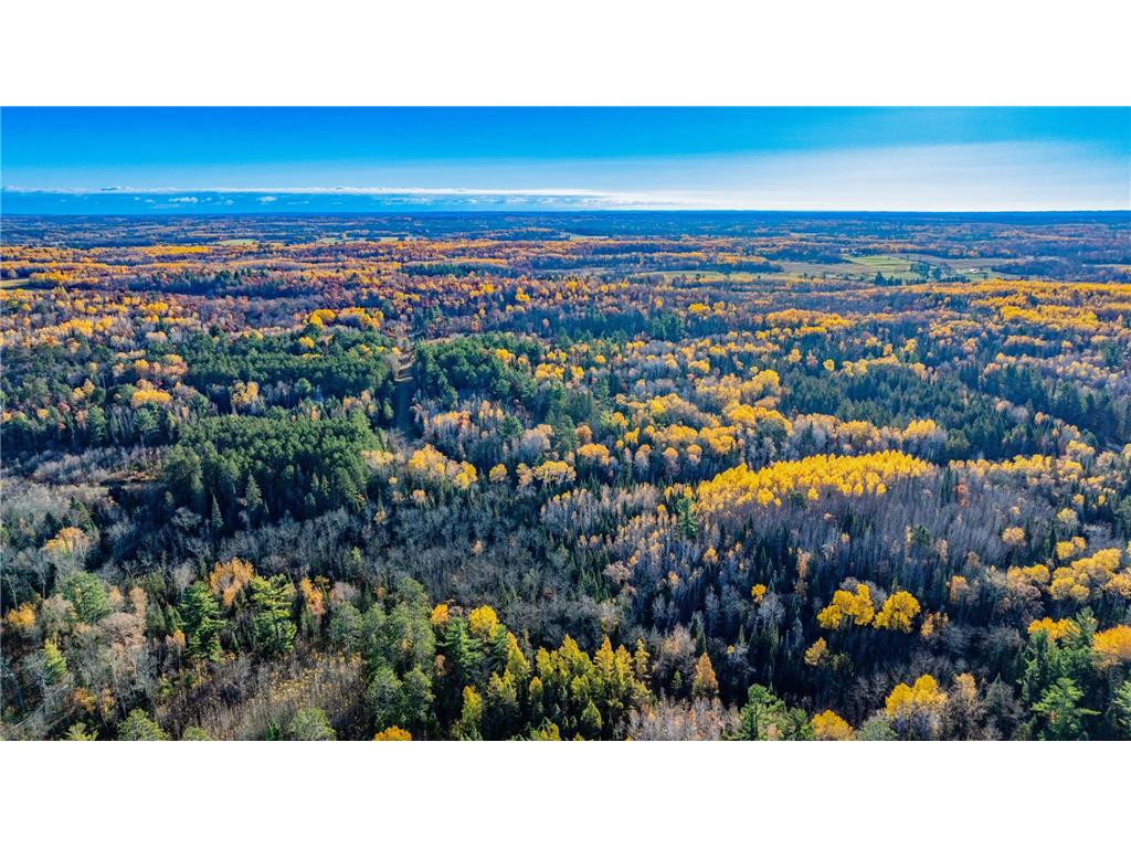 5 County Hway 49 Akeley MN 56433 6813742 image9