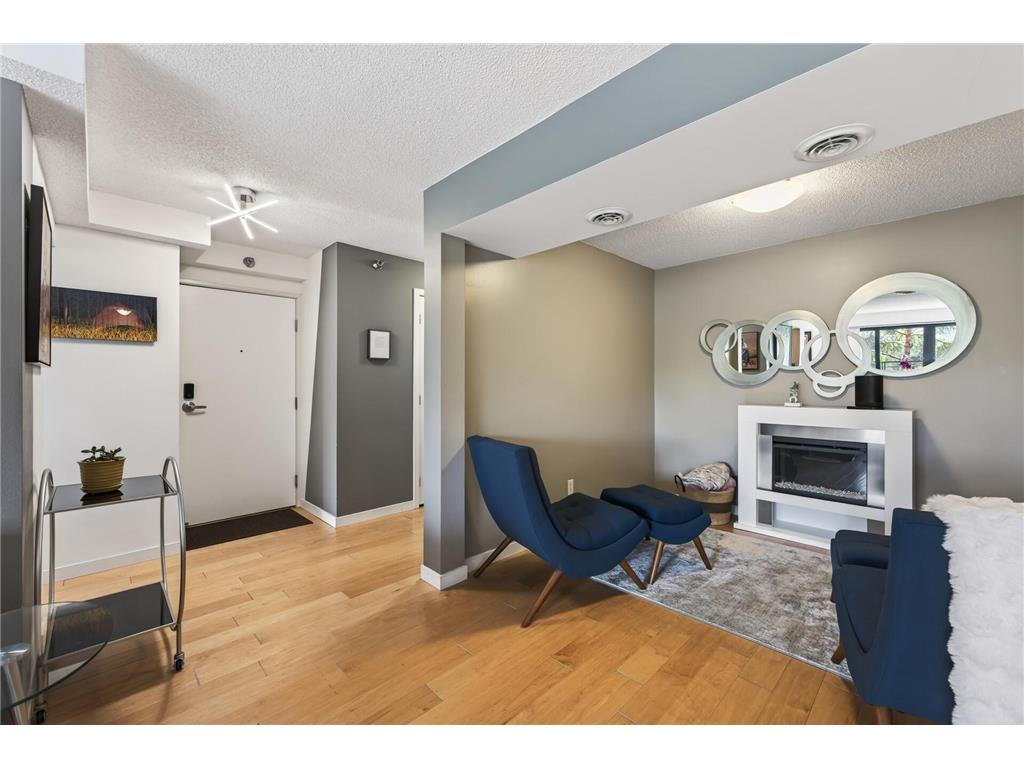 50 Groveland Terrace #C208 Minneapolis MN 55403 7070294 image22