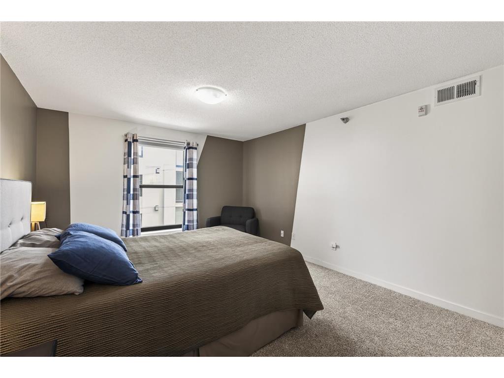 50 Groveland Terrace #C208 Minneapolis MN 55403 7070294 image25
