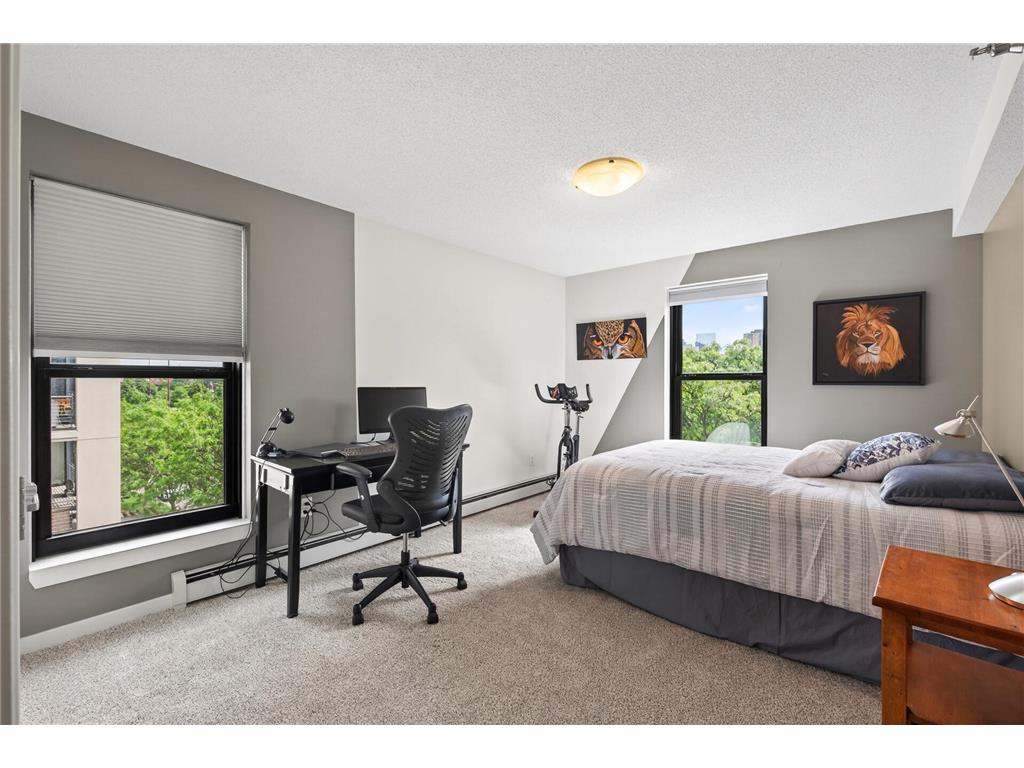 50 Groveland Terrace #C208 Minneapolis MN 55403 7070294 image28