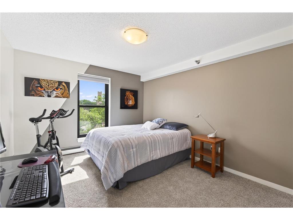 50 Groveland Terrace #C208 Minneapolis MN 55403 7070294 image29