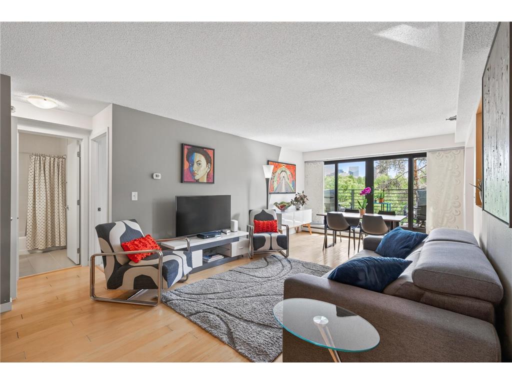 50 Groveland Terrace #C208 Minneapolis MN 55403 7070294 image7
