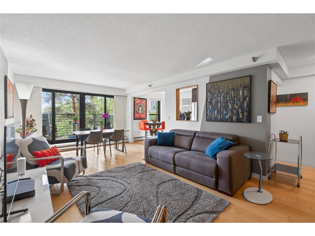 50 Groveland Terrace #C208 Minneapolis MN 55403 7070294 image8