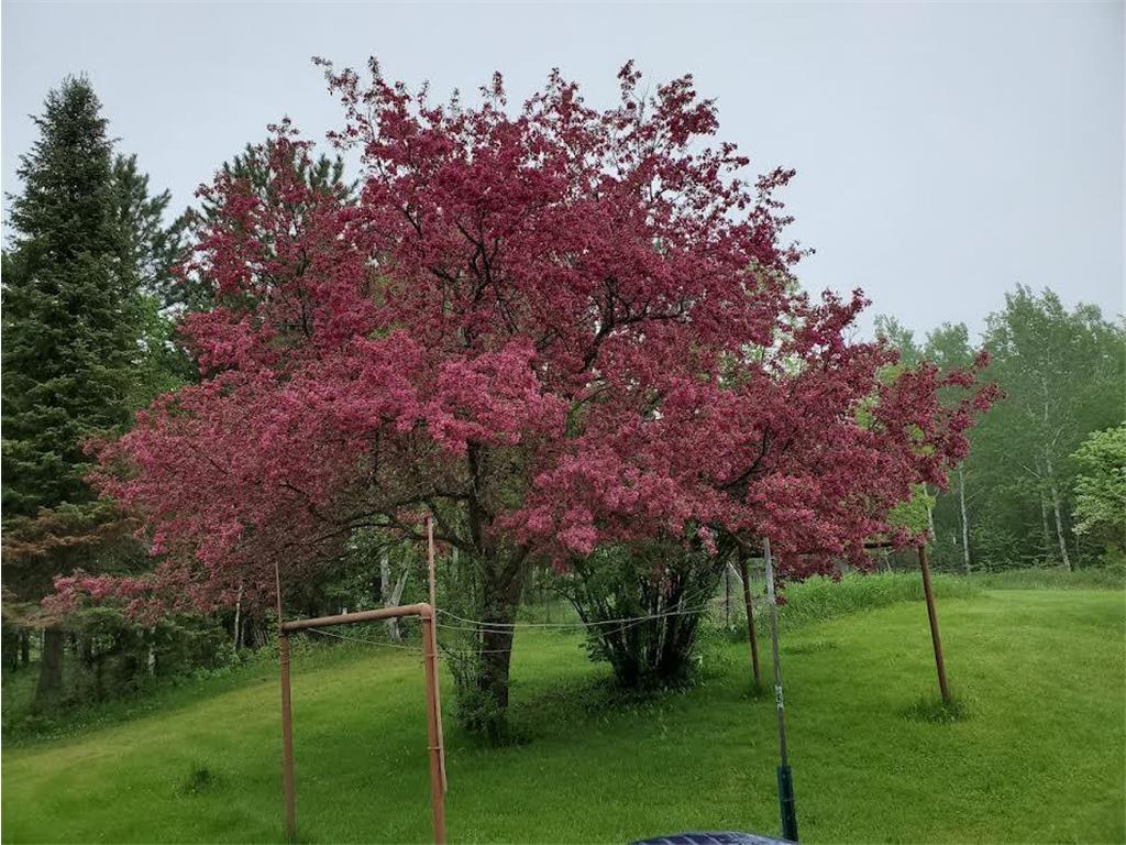 500 10th Avenue NW Chisholm MN 55719 6546539 image30