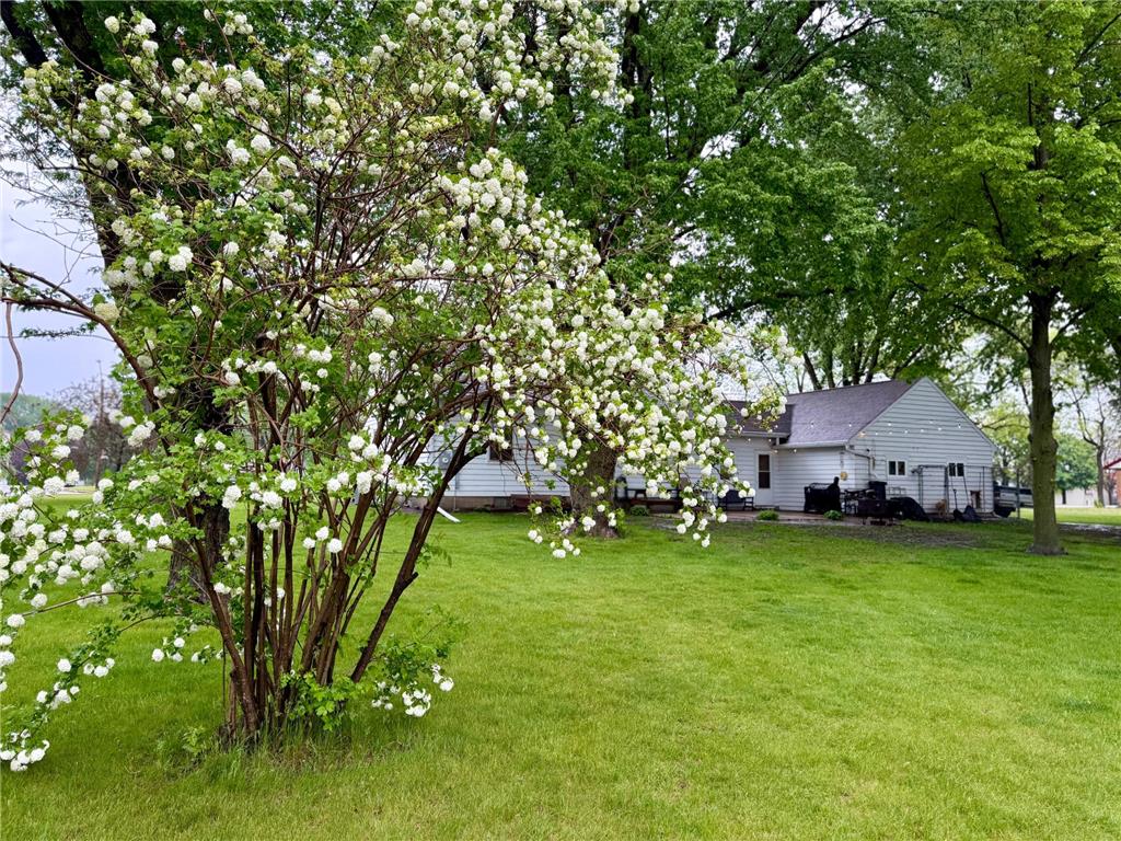 500 1st Street S Butterfield MN 56120 7079703 image8