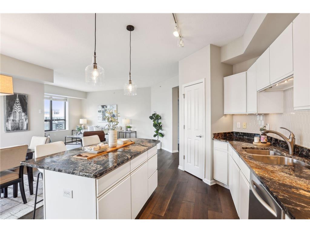 500 E Grant Street #1102 Minneapolis MN 55404 7005375 image18