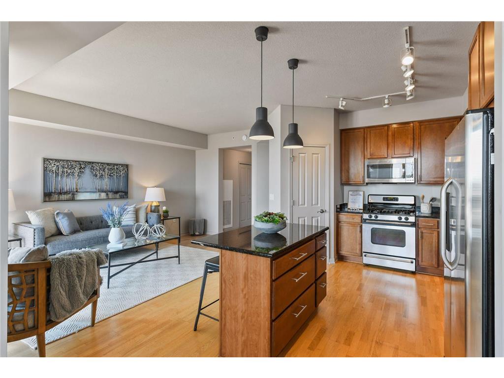 500 E Grant Street 906, Minneapolis, MN, 55404 MLS 6316633 Edina