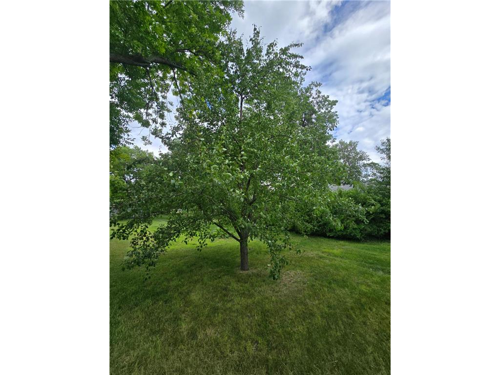 500 Lexington Street Milroy MN 56263 7095172 image7