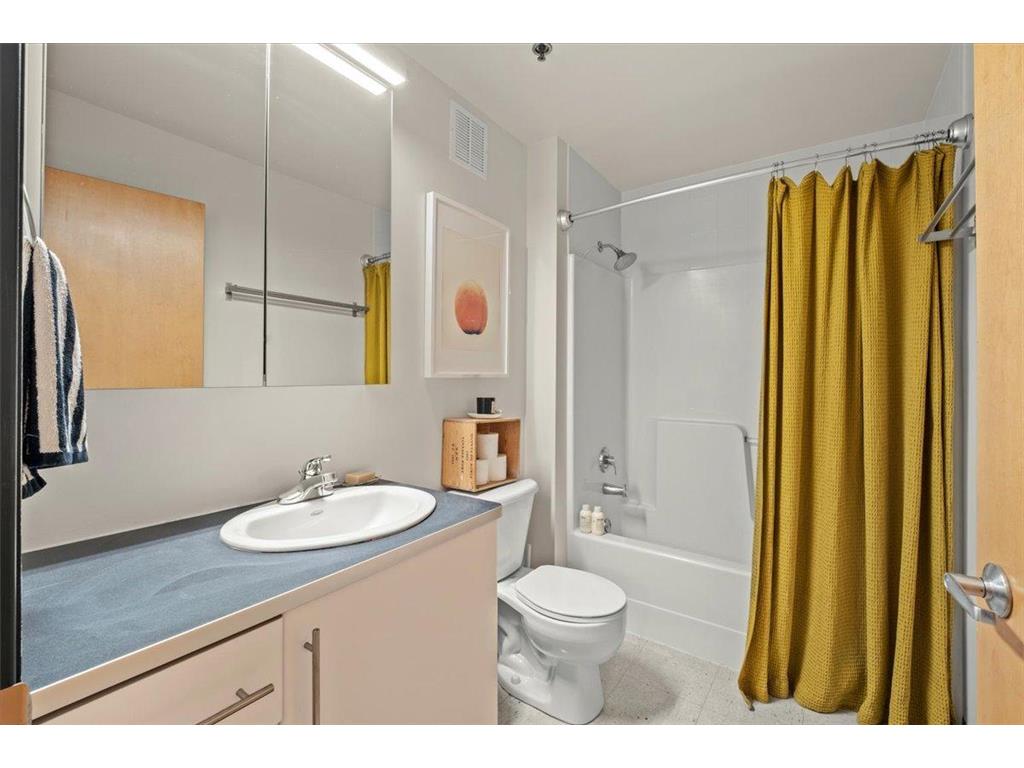 500 Robert Street N #216 Saint Paul MN 55101 7059431 image16