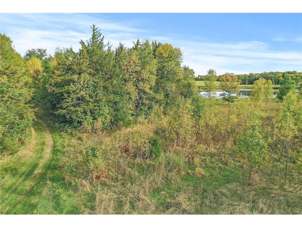 5000 10th Street Buffalo Twp MN 55313 - Green Mountain 6677137 image20