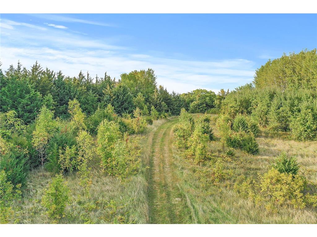 5000 10th Street Buffalo Twp MN 55313 - Green Mountain 6677137 image22