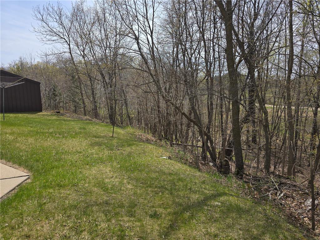 50050 Leek Lake Drive Candor Twp MN 56587 7075558 image10