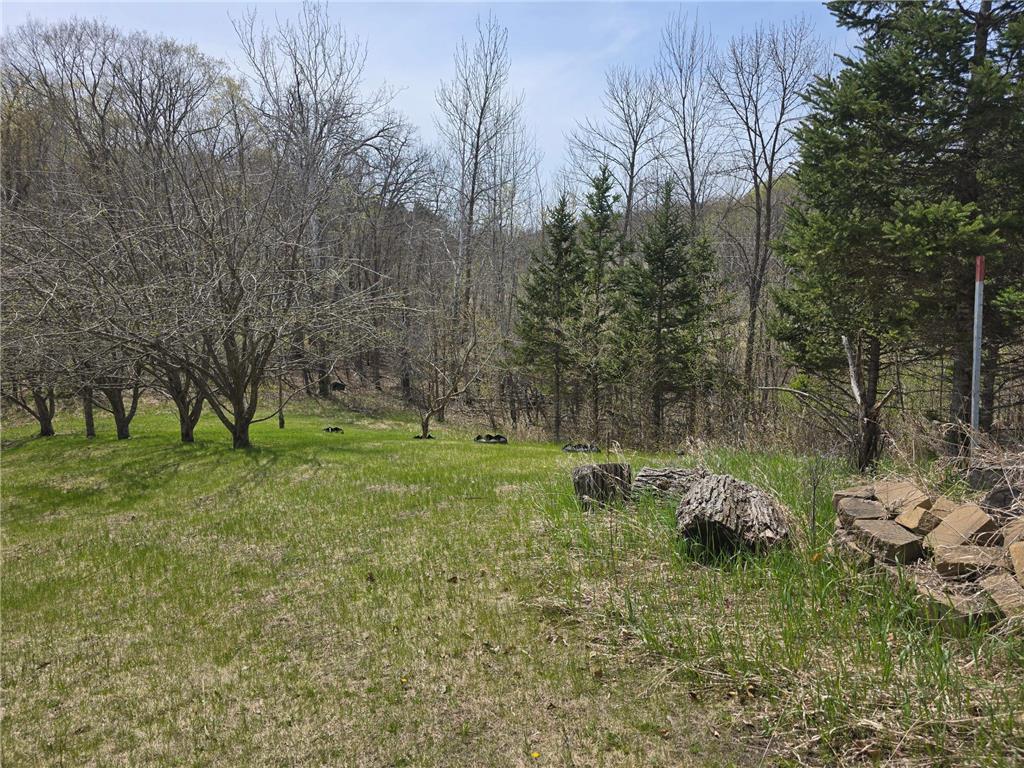 50050 Leek Lake Drive Candor Twp MN 56587 7075558 image13