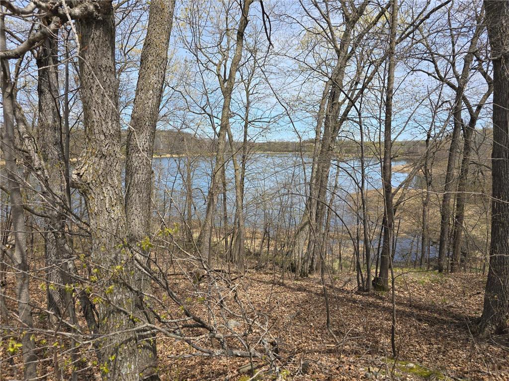 50050 Leek Lake Drive Candor Twp MN 56587 7075558 image9