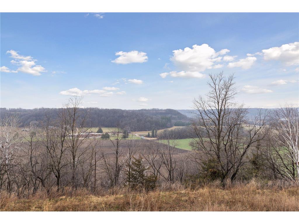 5007 Chalet Court Red Wing MN 55066 6707259 image1