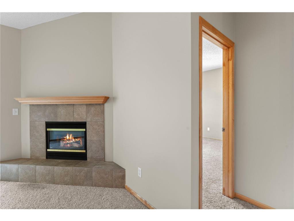 501 Meadow Lane Norwood Young America MN 55397 6825190 image58