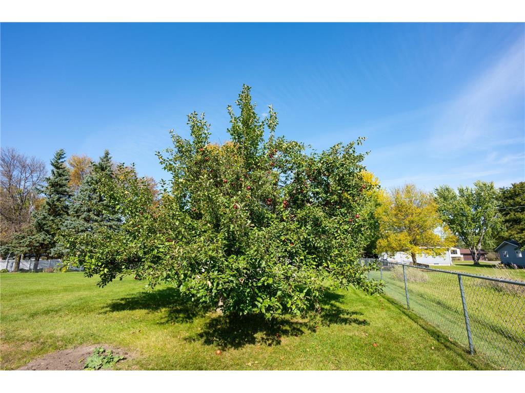 501 W 7th Avenue Osakis MN 56360 7061231 image8