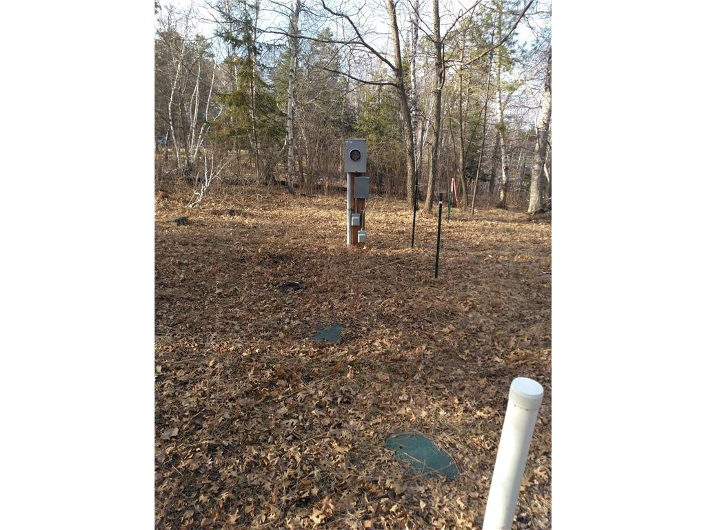 50126 County 29 Rockwood Twp MN 56601 - Plantagenet 7063238 image13