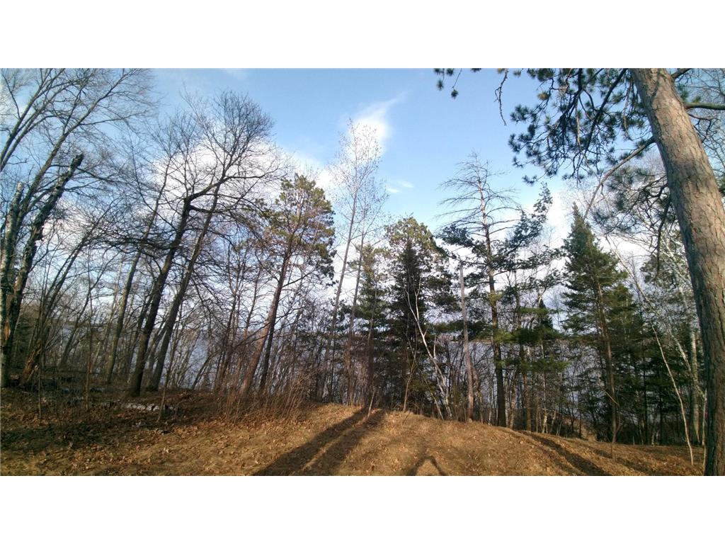 50126 County 29 Rockwood Twp MN 56601 - Plantagenet 7063238 image15