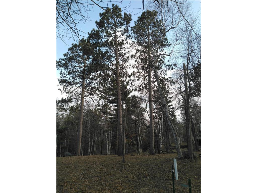 50126 County 29 Rockwood Twp MN 56601 - Plantagenet 7063238 image16