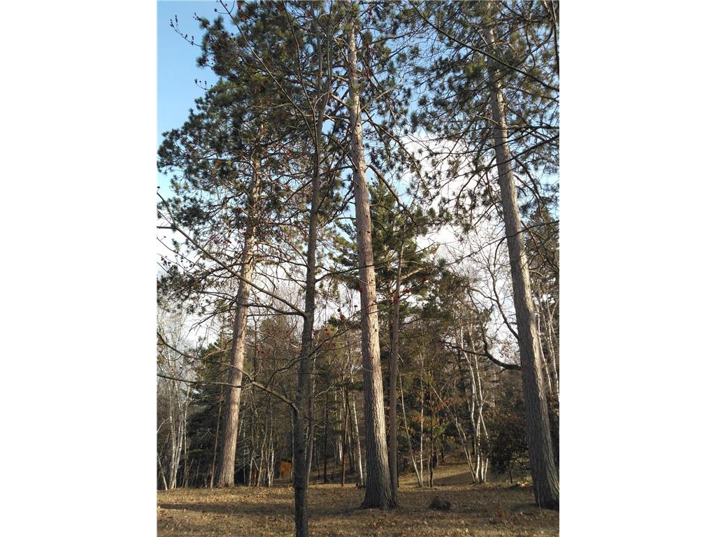 50126 County 29 Rockwood Twp MN 56601 - Plantagenet 7063238 image18