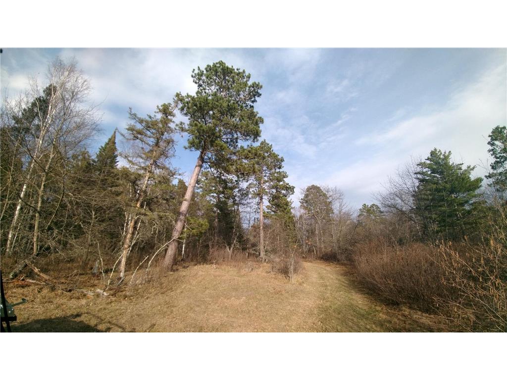 50126 County 29 Rockwood Twp MN 56601 - Plantagenet 7063238 image3