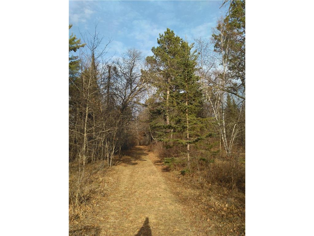 50126 County 29 Rockwood Twp MN 56601 - Plantagenet 7063238 image4