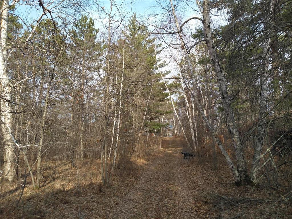 50126 County 29 Rockwood Twp MN 56601 - Plantagenet 7063238 image5