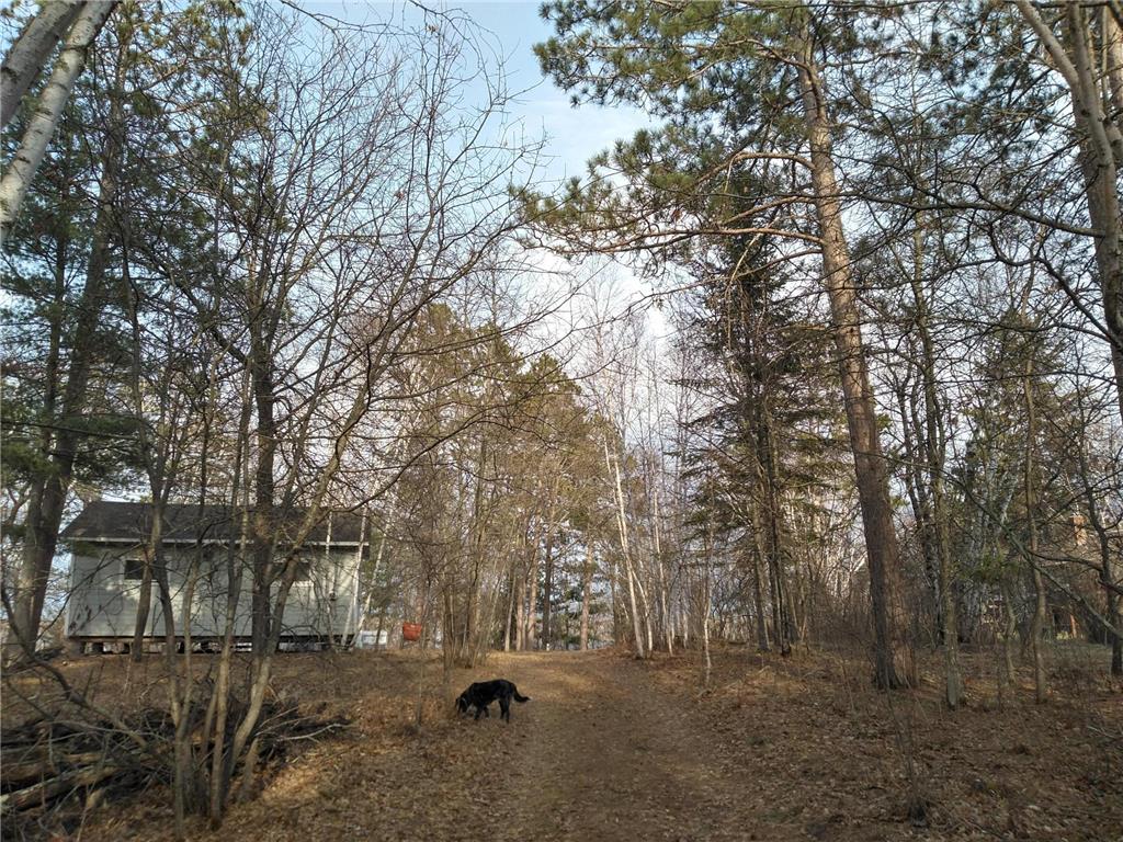 50126 County 29 Rockwood Twp MN 56601 - Plantagenet 7063238 image6