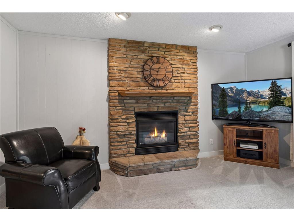 502 4th Avenue SW Norwood Young America MN 55397 7103853 image9