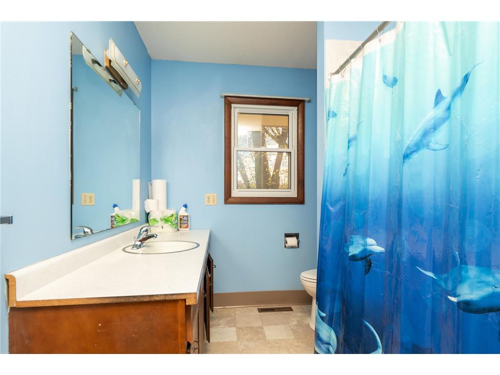 502 Vine Avenue W Montgomery MN 56069 7065815 image15