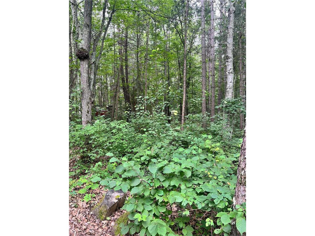 5020 Woodland Drive NW Hackensack MN 56452 6763306 image24