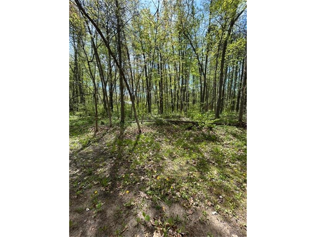 5020 Woodland Drive NW Hackensack MN 56452 6763306 image59