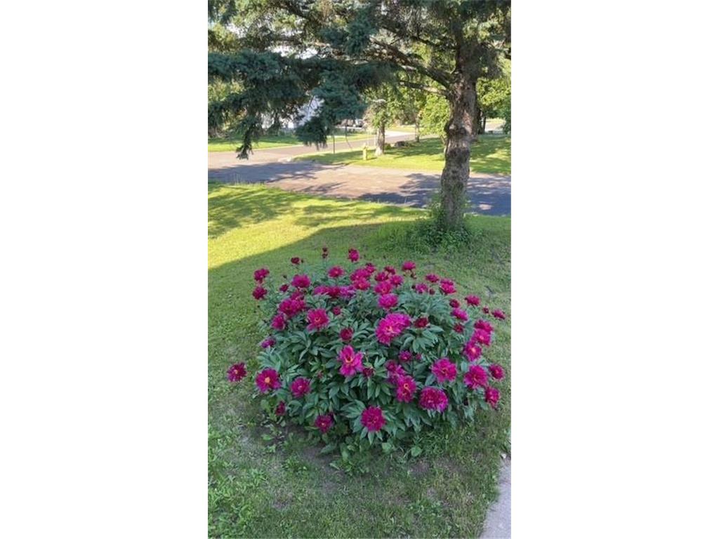 5030 Idlewild Street Duluth MN 55804 6819793 image19