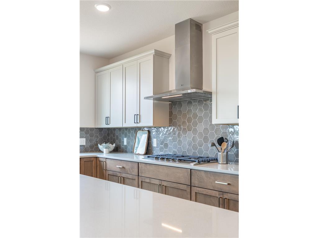 5036 Airlake Draw Woodbury MN 55129 7065069 image14