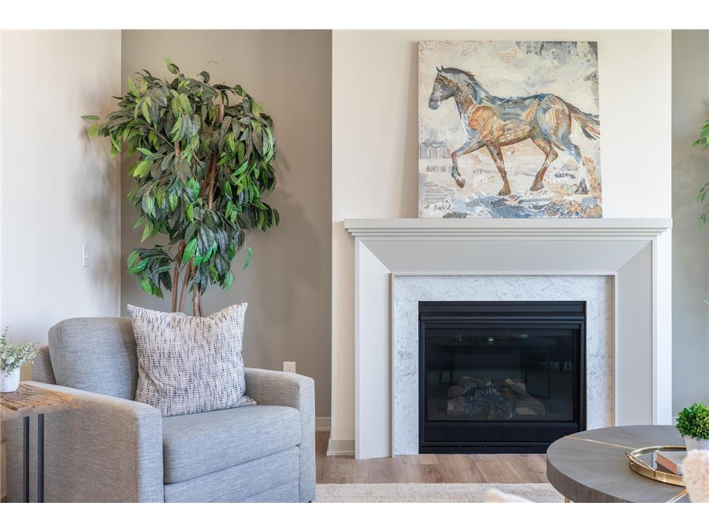 5036 Airlake Draw Woodbury MN 55129 7065069 image34