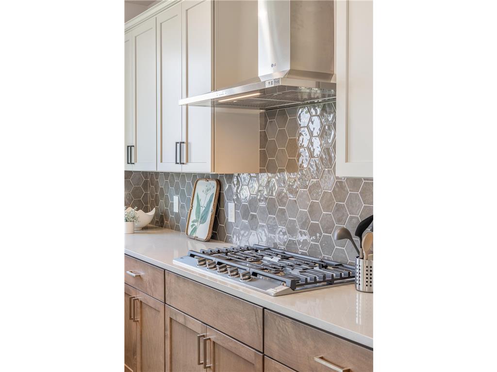 5036 Airlake Draw Woodbury MN 55129 7065069 image37
