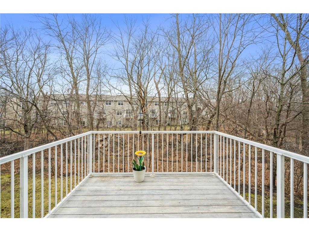 5038 Everest Lane N Plymouth MN 55446 6822086 image7