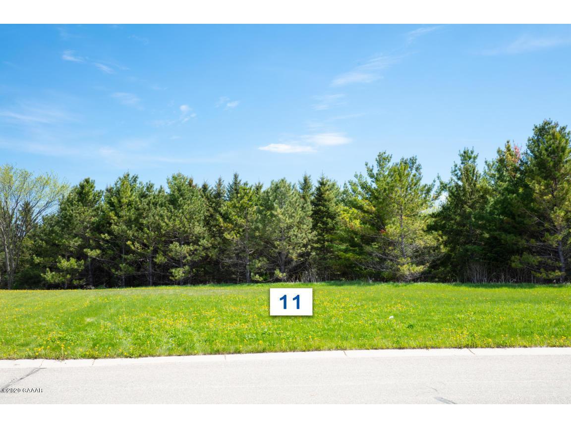 504 Lot#11 5th Street E Brandon MN 56315 5520153 image1