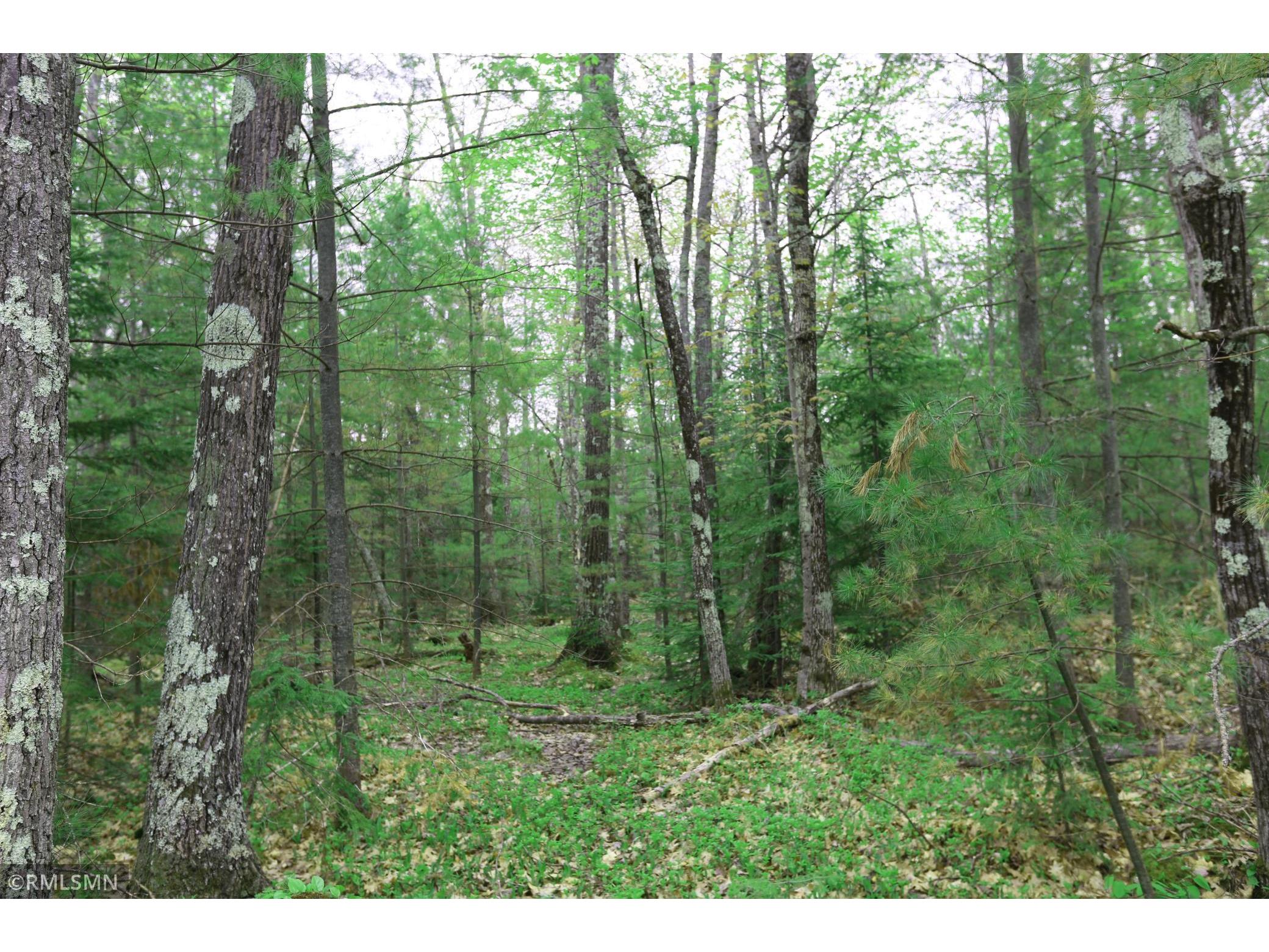 504 Miller Farm Road, La Pointe, WI 54850 MLS 5767713 Edina Realty