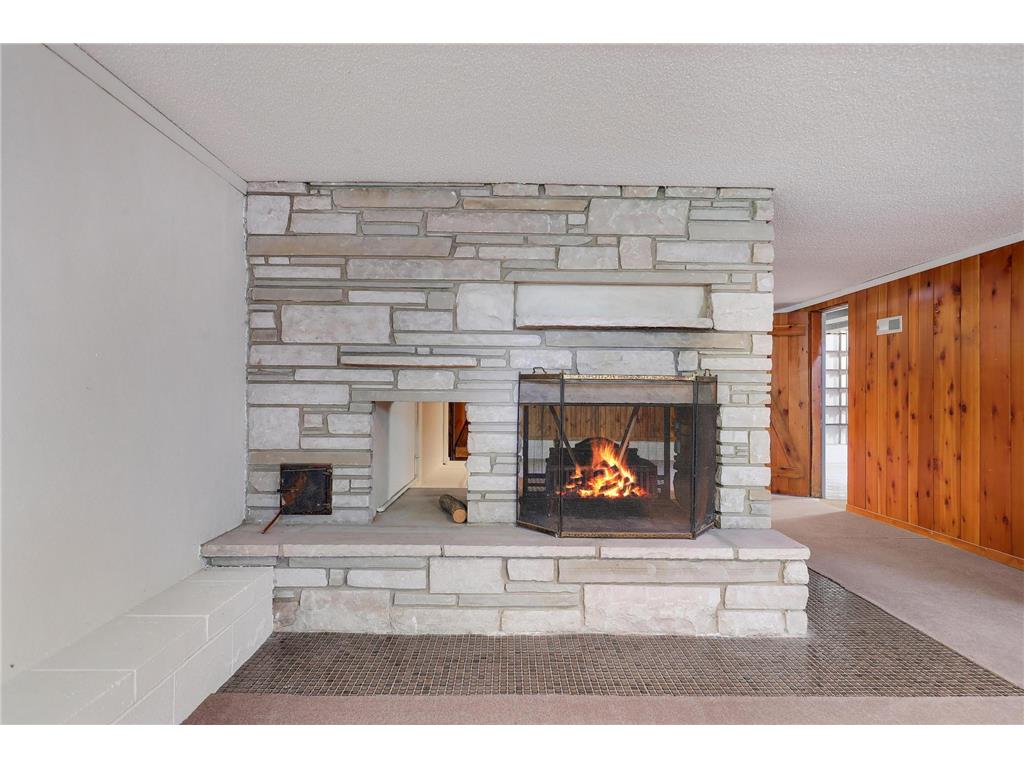 5041 Richmond Drive Edina MN 55436 7025323 image45