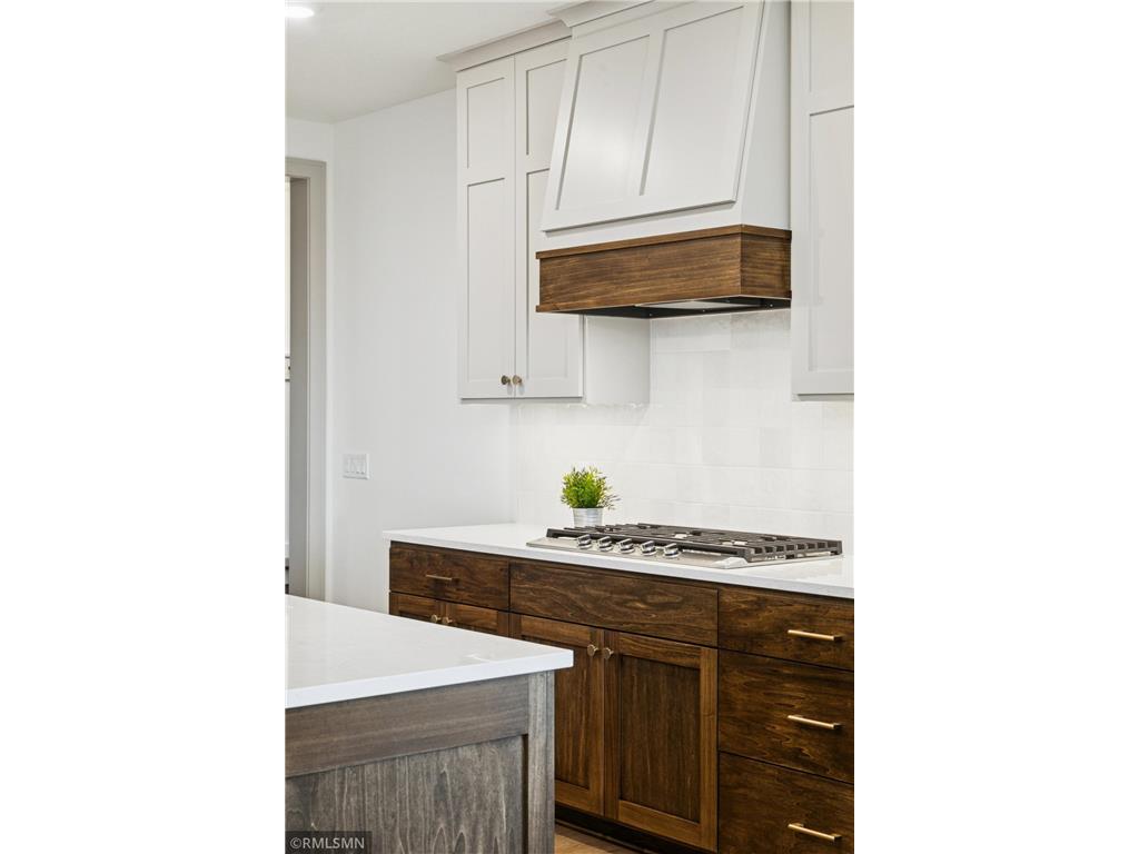 5042 Airlake Draw Woodbury MN 55129 6822152 image29