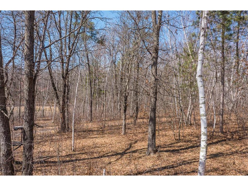 5044 Mary Allen Lane Brainerd MN 56401 7059046 image44