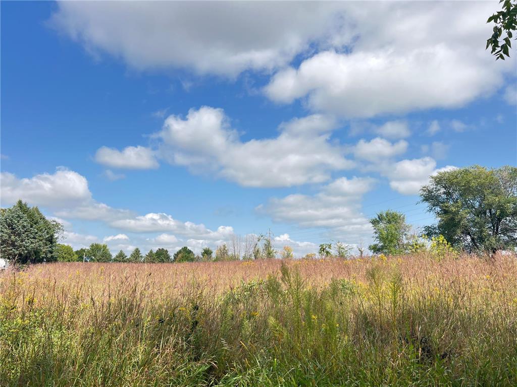 505 E Farmer Street Spring Valley MN 55975 6788139 image13