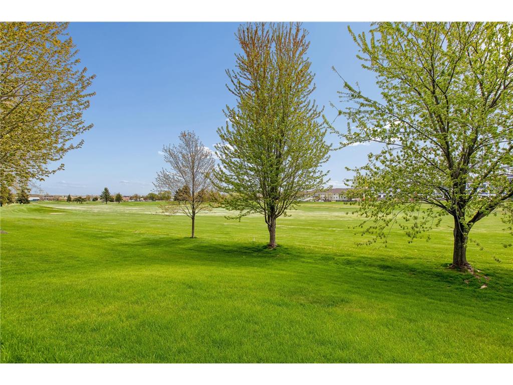 505 Holly Lane N Oakdale MN 55128 7049743 image6