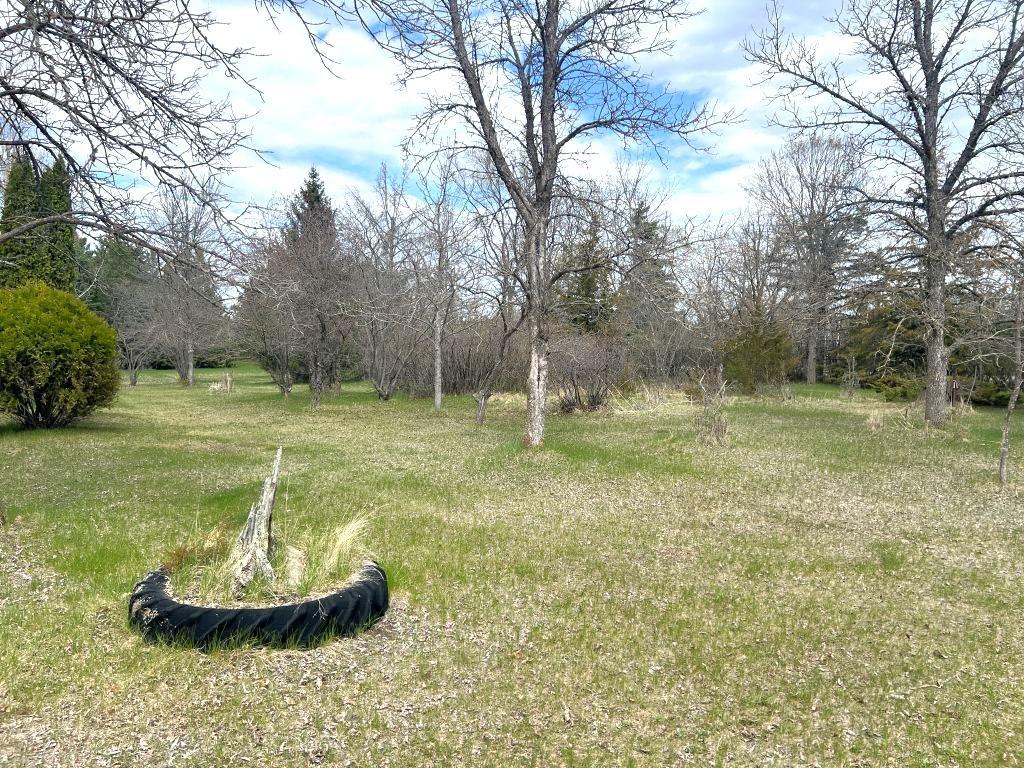 505 Western Avenue N Park Rapids MN 56470 7071864 image21