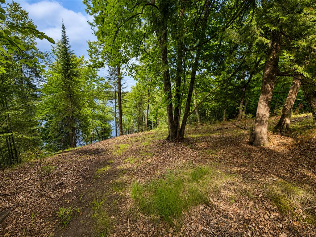 50573 Evergreenpoint Road Marcell Twp MN 56628 - Turtle Lake 7096048 image42